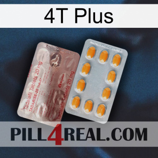 4T Plus new13